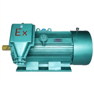 YB Series High Voltage Explosion Proof Electric Motor